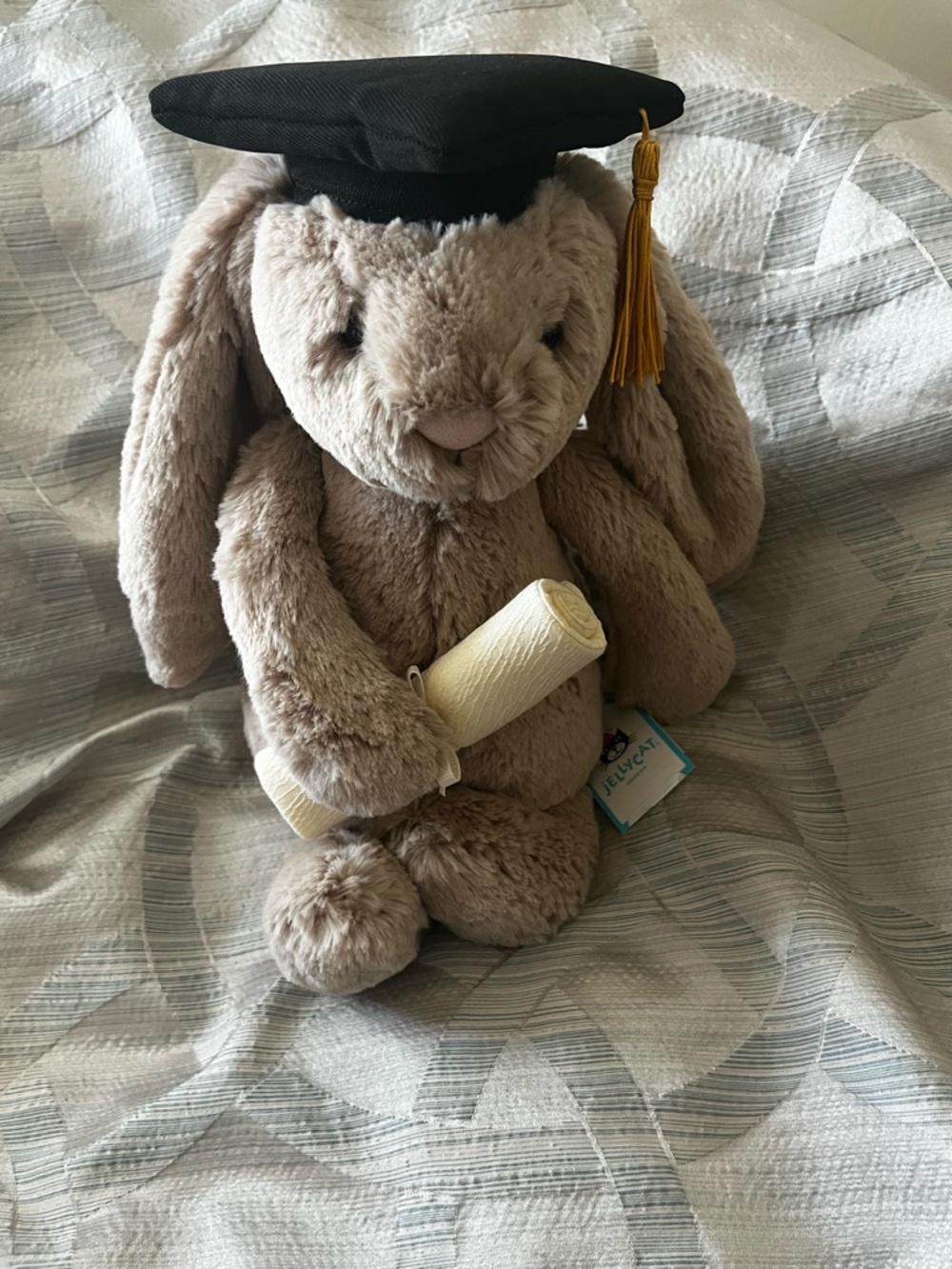 Jellycat Bashful Graduation Bunny